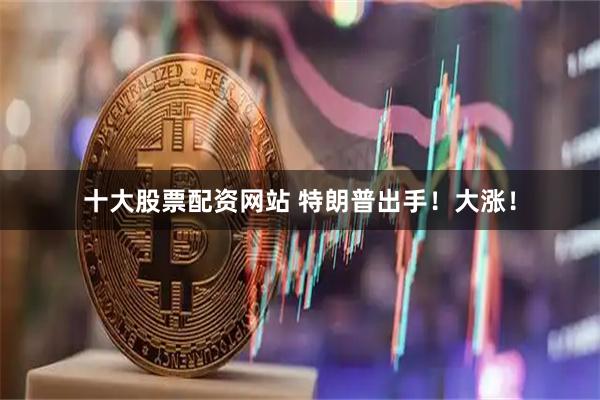 十大股票配资网站 特朗普出手！大涨！