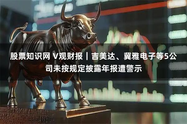 股票知识网 V观财报｜吉美达、冀雅电子等5公司未按规定披露年报遭警示