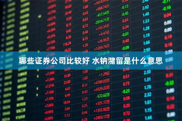 哪些证券公司比较好 水钠潴留是什么意思