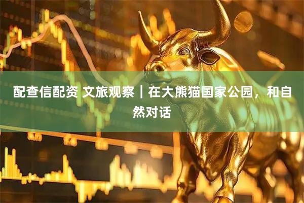 配查信配资 文旅观察｜在大熊猫国家公园，和自然对话